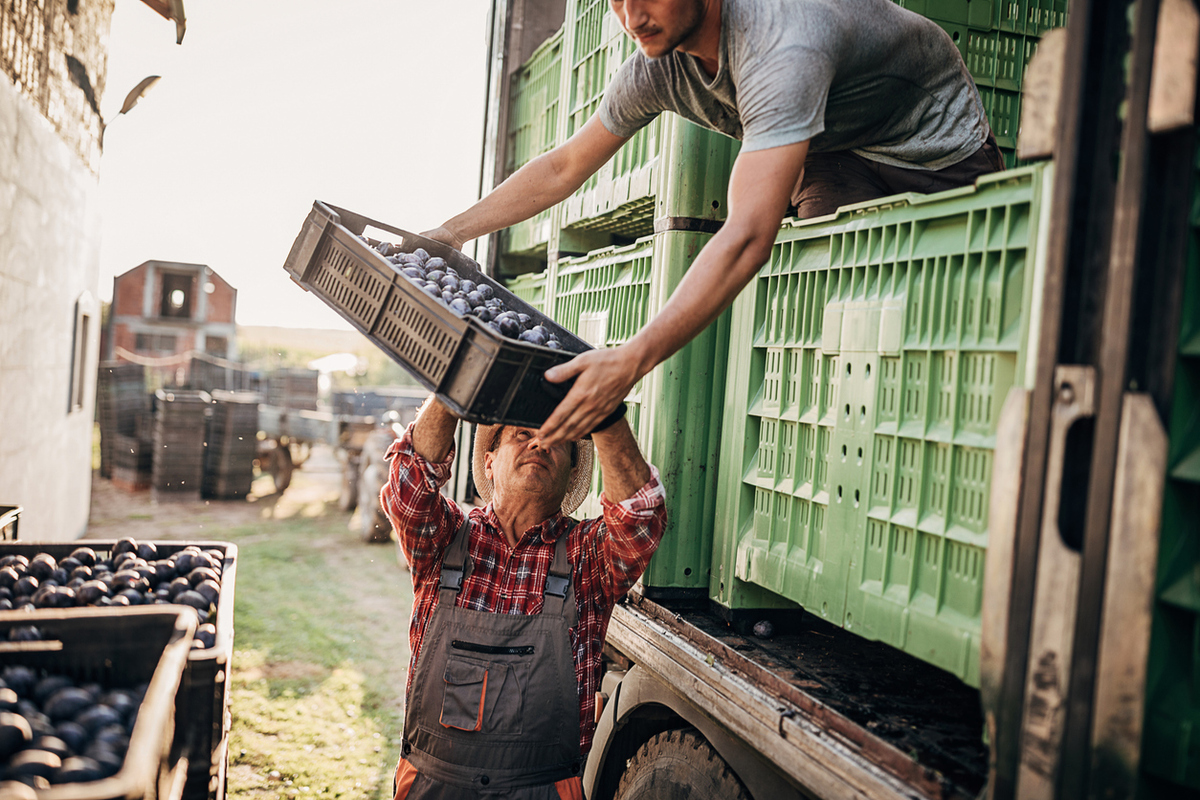 a person handing a crate of fruit off a truck to another person on the ground